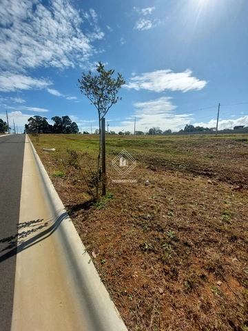 Foto Terreno