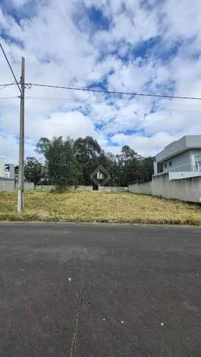 Terreno à Venda - Oportunidade única Em Ponta Grossa!