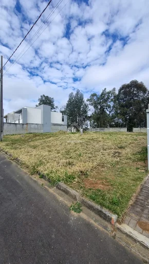 Terreno à Venda - Oportunidade única Em Ponta Grossa!