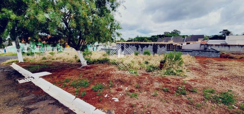 Foto Terreno