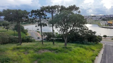 Terreno Frente Ao Lago De Olarias