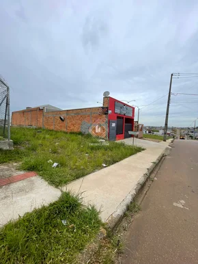 Terreno Em Avenida No Cará-cará
