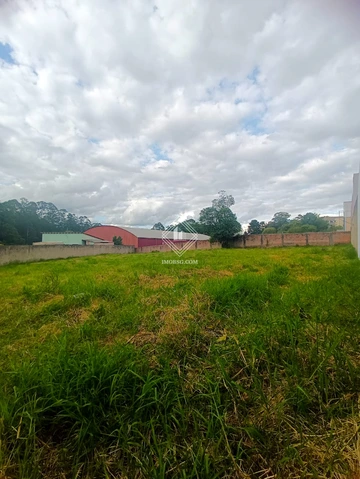 Foto Terreno