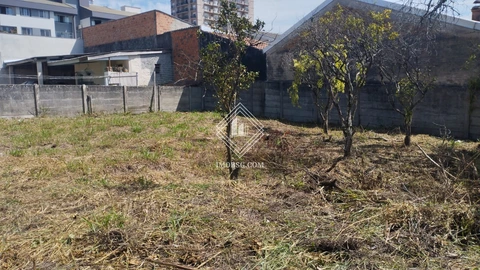 Foto Terreno