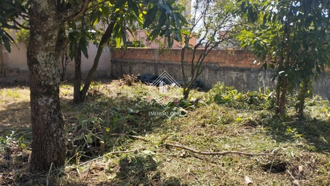 Foto Terreno