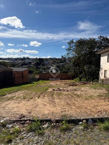 Foto Terreno