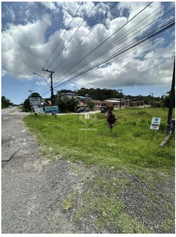 Foto Terreno