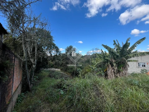 Foto Terreno