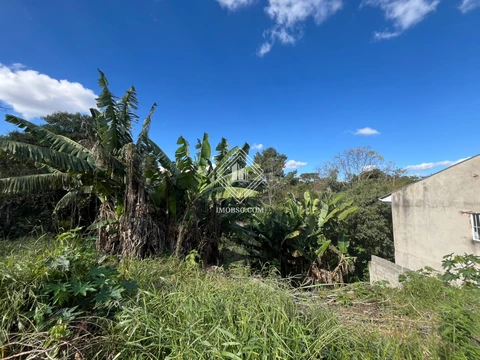 Foto Terreno