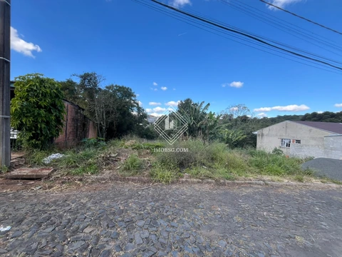 Foto Terreno