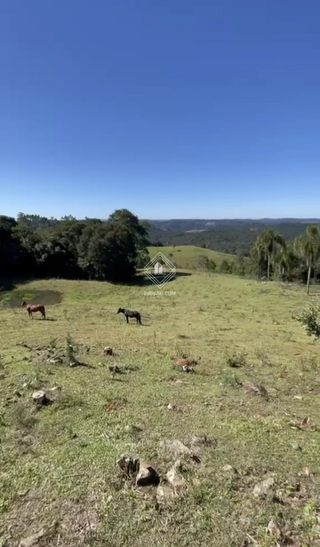 Foto Rural