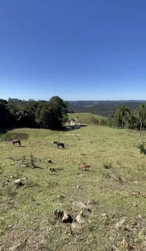 Chácara Em Itaiacoca