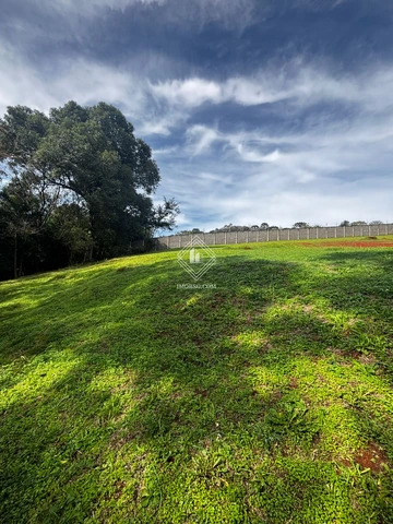 Foto Terreno