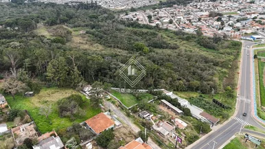 Terreno - Olarias