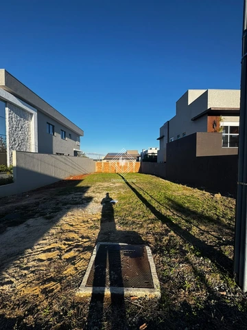 Foto Terreno