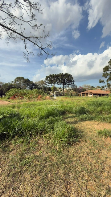 Foto Terreno