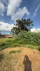 Terreno - Lago de Olarias - Foto 3