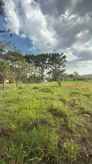 Terreno - Lago de Olarias - Foto 6
