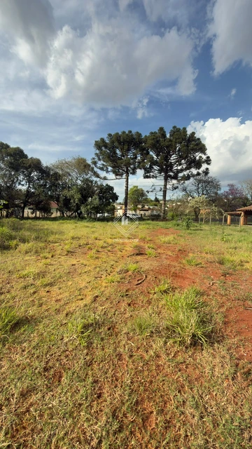 Foto Terreno
