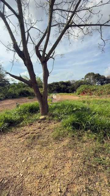 Foto Terreno