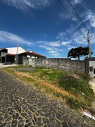 Terreno - Uvaranas - Foto 3