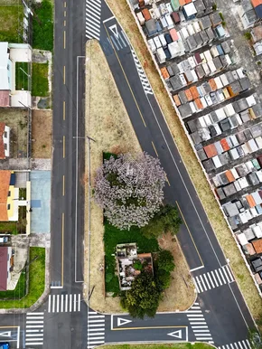 Terreno - Jardim Carvalho - Foto 2
