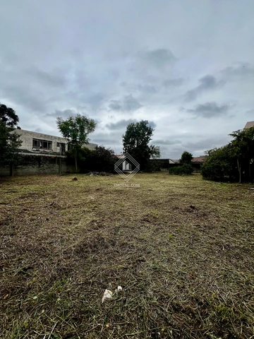 Foto Terreno