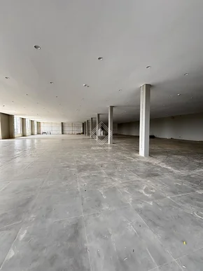 Barracão Comercial - Uvaranas