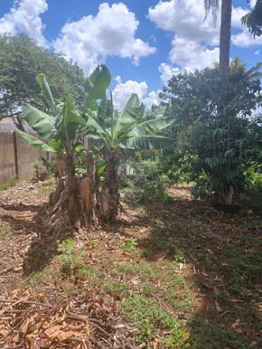 Terreno - Chapada