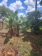 Terreno - Chapada - Foto 6