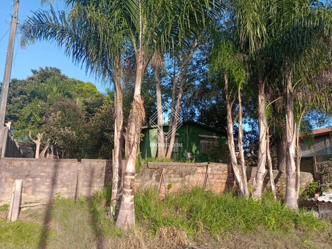 Foto Terreno