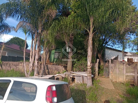 Foto Terreno