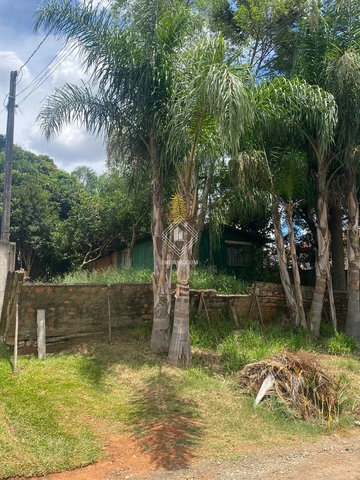 Foto Terreno