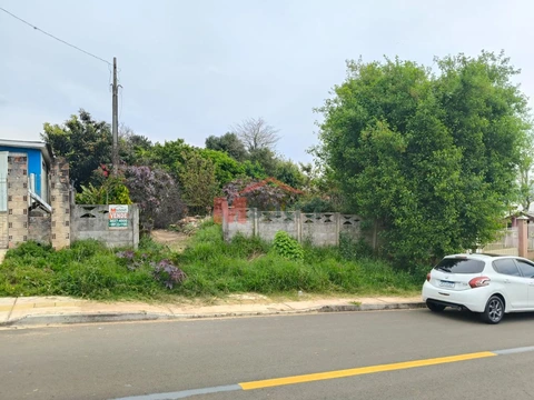 Foto Terreno