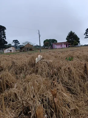 Miniatura - Foto CHÁCARA 6.050 M2 - Cachoeirinha (Imbituva)