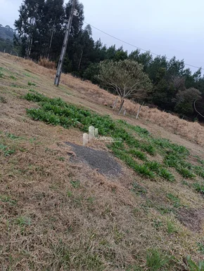 Miniatura - Foto CHÁCARA 6.050 M2 - Cachoeirinha (Imbituva)