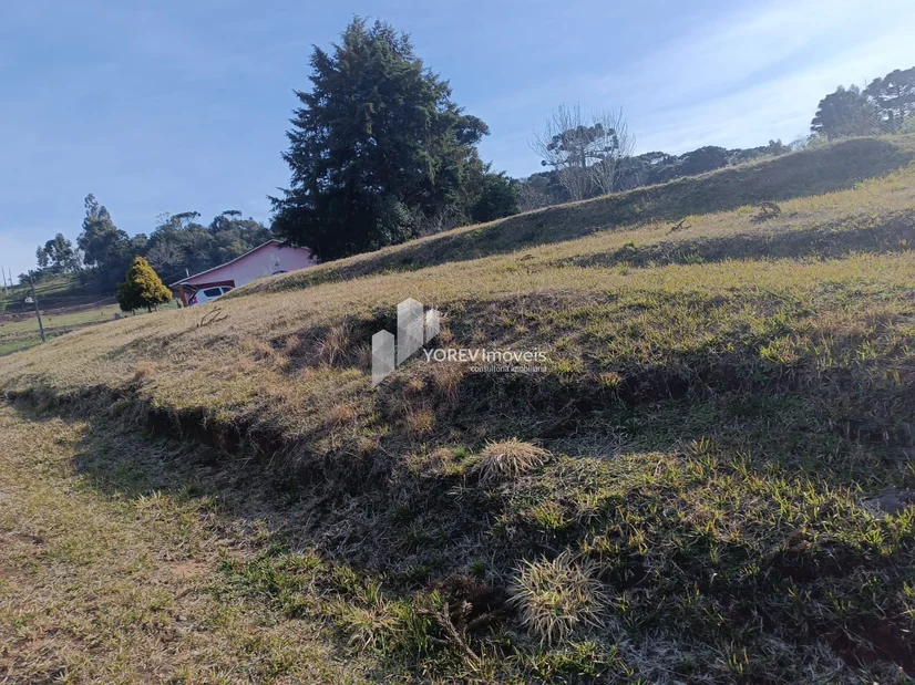 Foto CHÁCARA 6.050 M2 - Cachoeirinha (Imbituva)