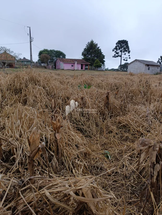 Foto CHÁCARA 6.050 M2 - Cachoeirinha (Imbituva)
