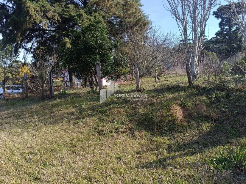 Foto CHÁCARA 6.050 M2 - Cachoeirinha (Imbituva)