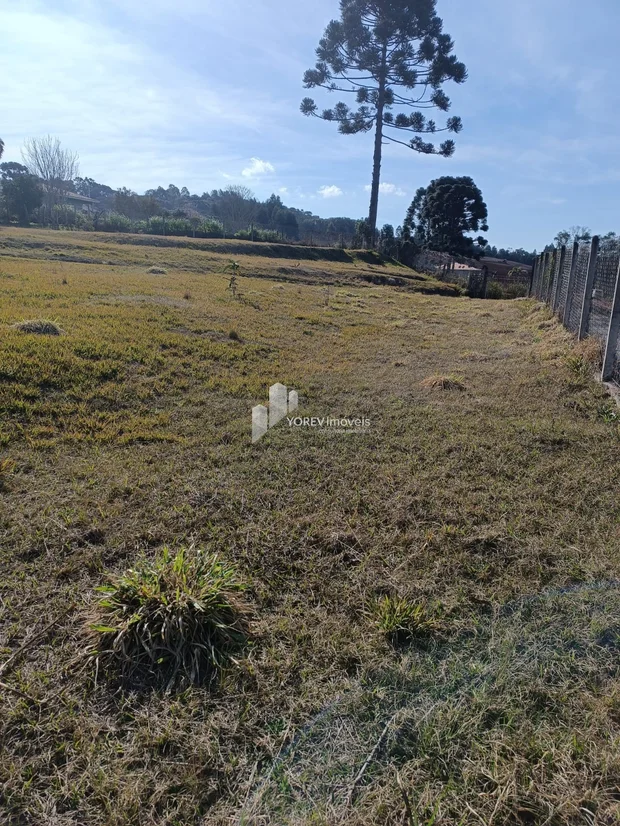 Foto CHÁCARA 6.050 M2 - Cachoeirinha (Imbituva)