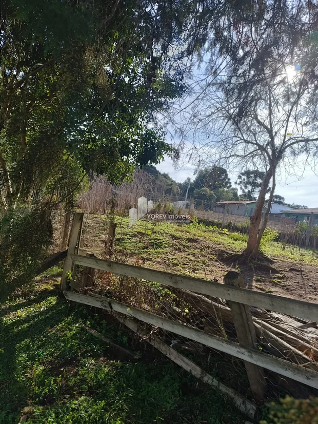 Foto CHÁCARA 6.050 M2 - Cachoeirinha (Imbituva)