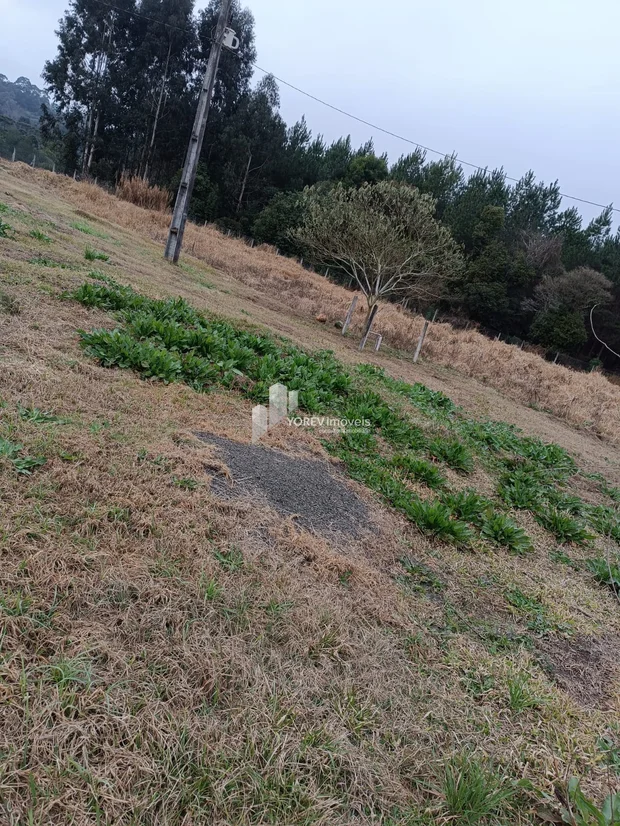 Foto CHÁCARA 6.050 M2 - Cachoeirinha (Imbituva)