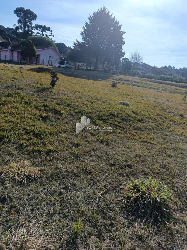 Foto CHÁCARA 6.050 M2 - Cachoeirinha (Imbituva)