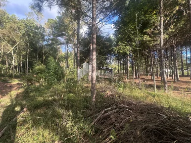 Terreno De 2.500 M2 - Região Colônia Dona Luiza
