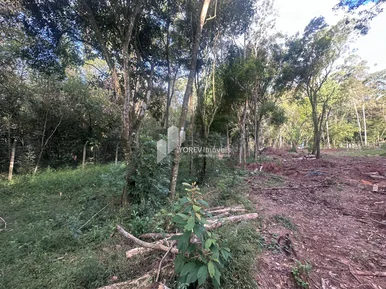 Terreno De 2.500 M2 - Região Colônia Dona Luiza