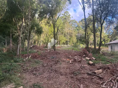 Terreno De 2.500 M2 - Região Colônia Dona Luiza