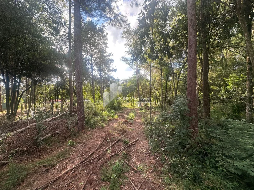 Foto Terreno de 2.500 m2 - Região Colônia Dona Luiza