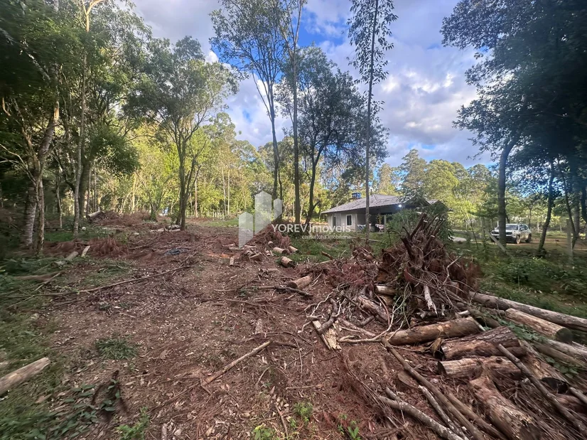 Foto Terreno de 2.500 m2 - Região Colônia Dona Luiza