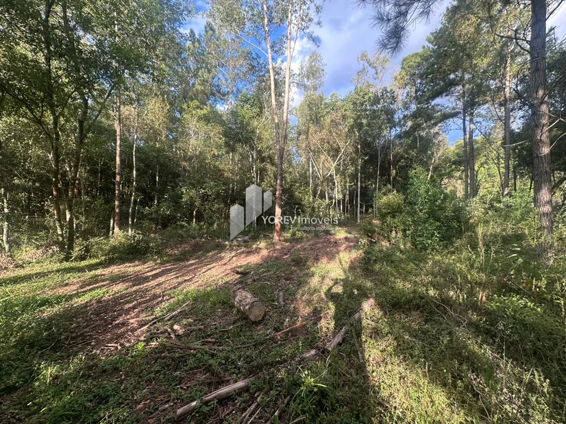 Foto Terreno de 2.500 m2 - Região Colônia Dona Luiza