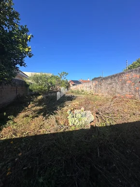 Miniatura - Foto Terreno 100% murado - Avenida Siqueira Campos